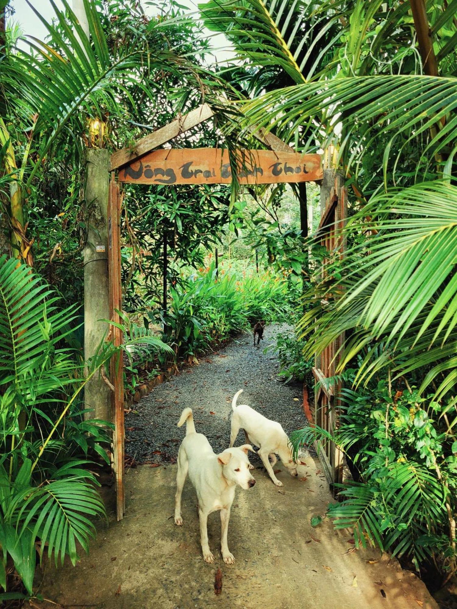 Nong Trai Thanh Thoi Ben Tre Exterior foto